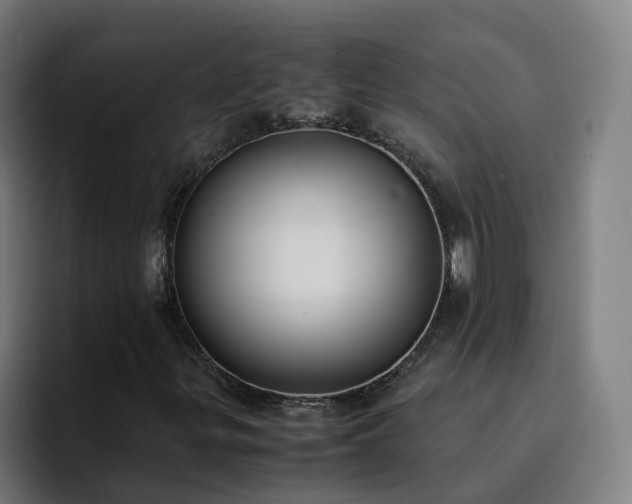 X0000094911299200712061040