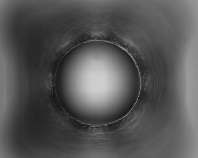 X0000094911301200712061040