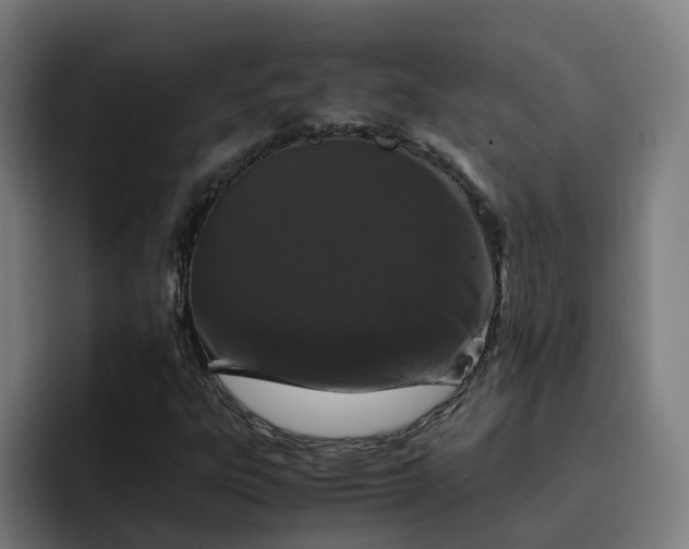 X0000094911303200712061040