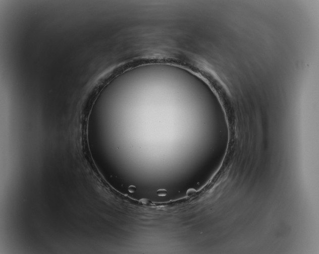 X0000094911304200712061041