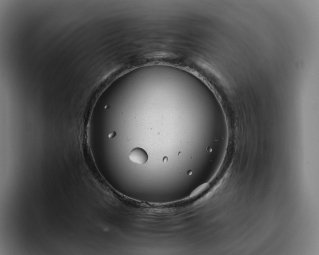 X0000094911305200712061041