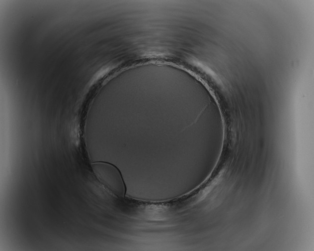 X0000094911306200712061041
