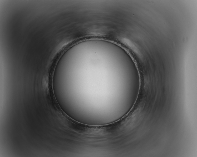 X0000094911307200712061041