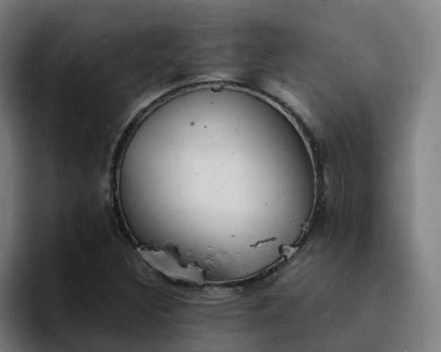 X0000094911308200712061041