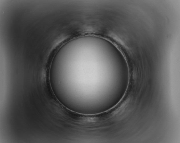 X0000094911309200712061041