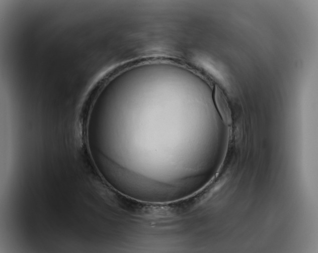 X0000094911310200712061041