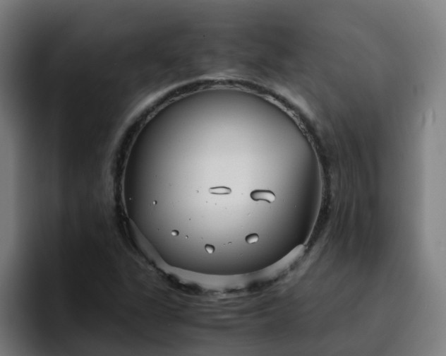 X0000094911311200712061041