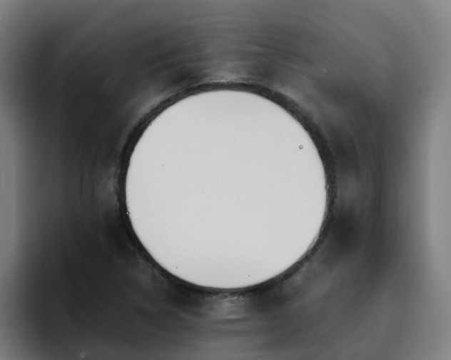 X0000094911314200712061041