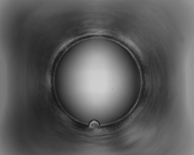 X0000094911318200712061041