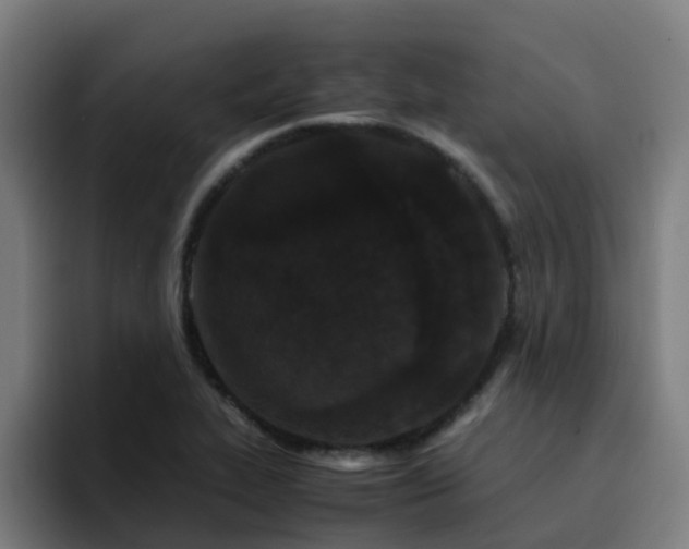 X0000094911319200712061041