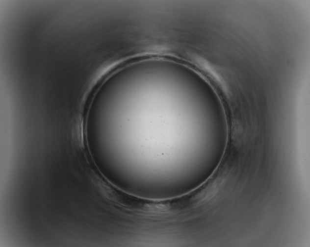 X0000094911320200712061041