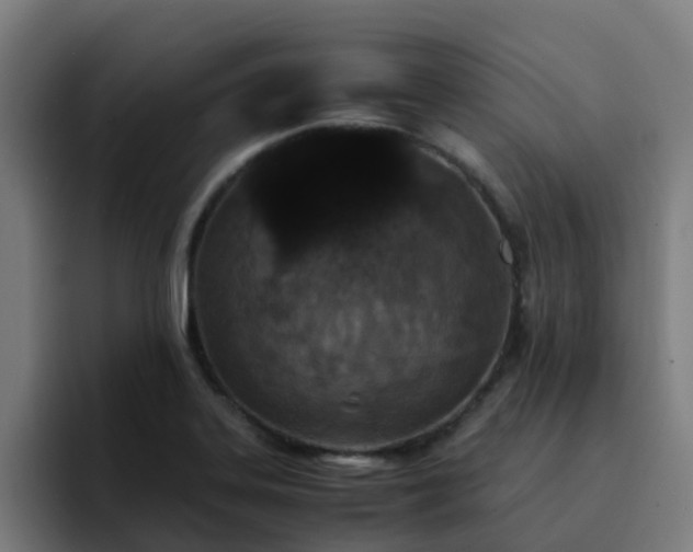 X0000094911323200712061041
