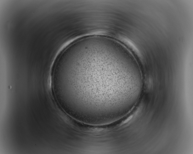 X0000094911324200712061041