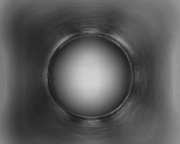 X0000094911325200712061041