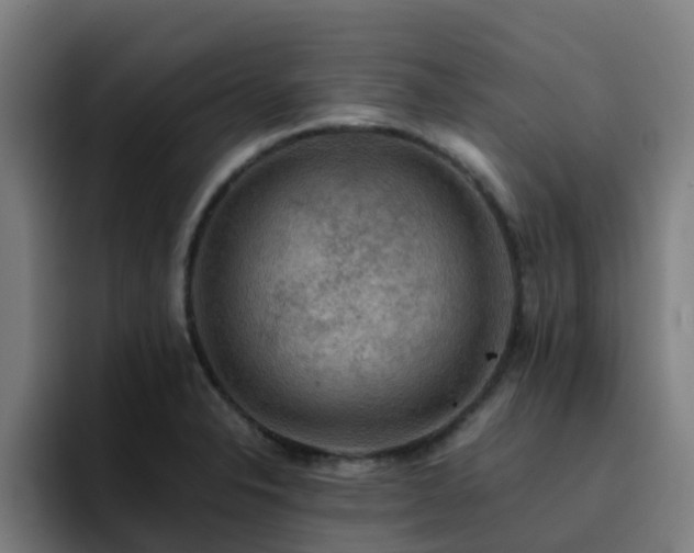 X0000094911326200712061041