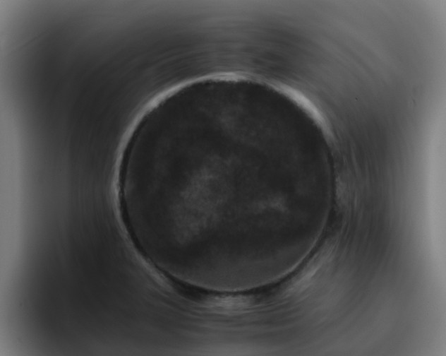 X0000094911327200712061041