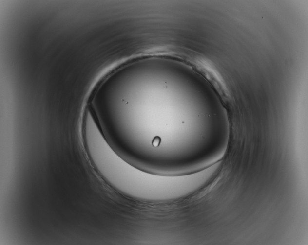 X0000094911328200712061041