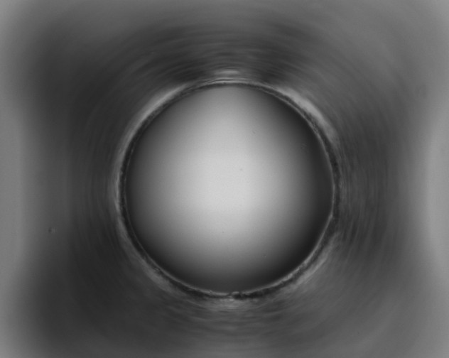 X0000094911333200712061041