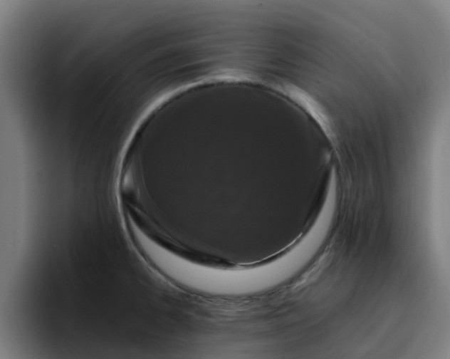 X0000094911334200712061041