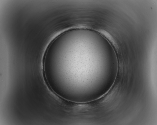 X0000094911335200712061041