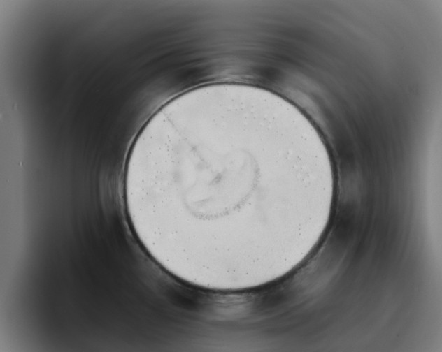 X0000094911338200712061041