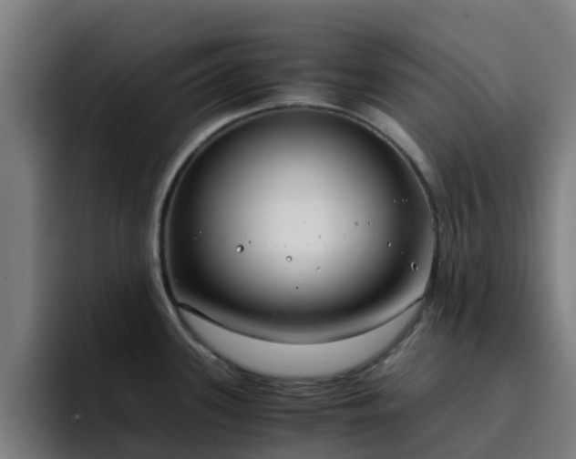 X0000094911339200712061041