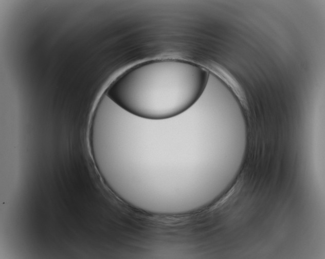 X0000094911340200712061041