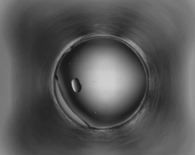 X0000094911341200712061041