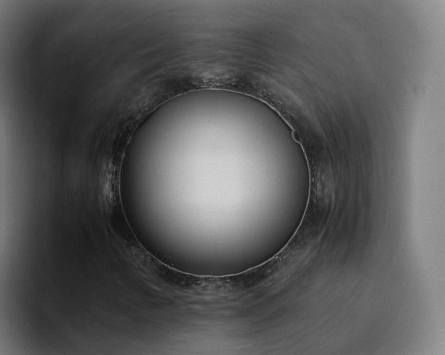 X0000094911346200712061040