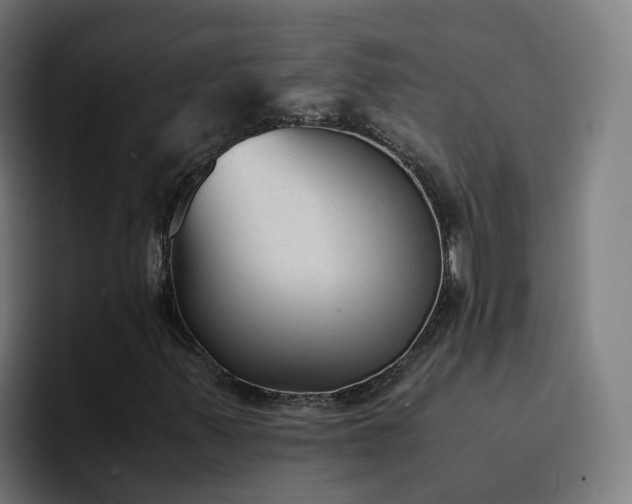 X0000094911347200712061040