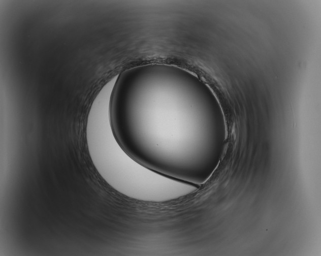 X0000094911348200712061040