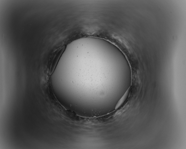X0000094911349200712061040