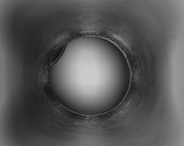 X0000094911350200712061040