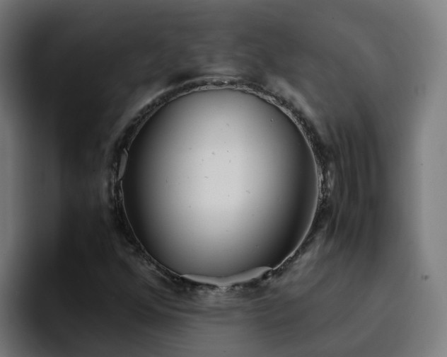 X0000094911352200712061040