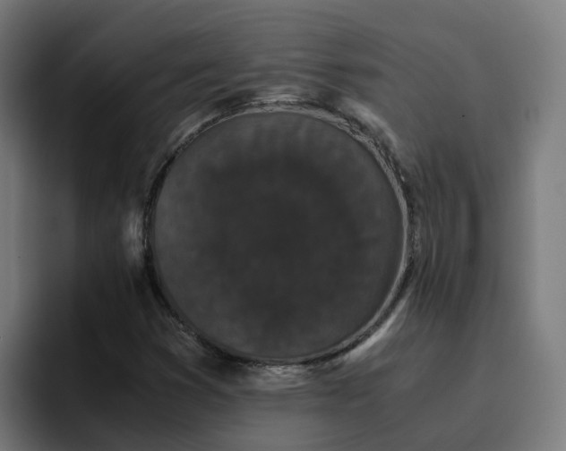 X0000094911353200712061040