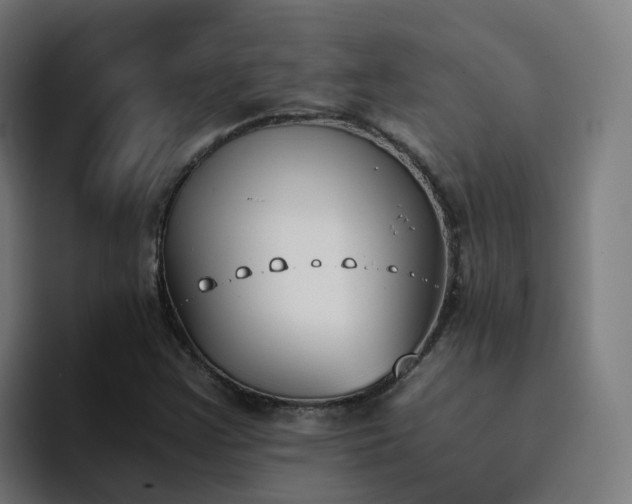 X0000094911355200712061040