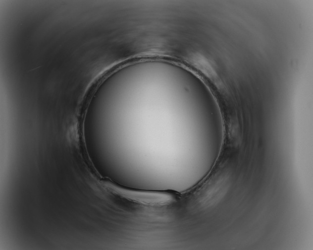 X0000094911356200712061040