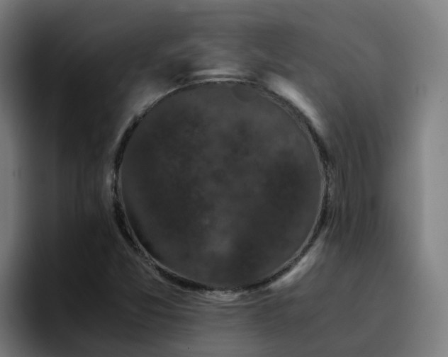 X0000094911357200712061040