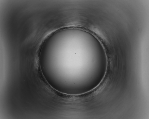 X0000094911358200712061040