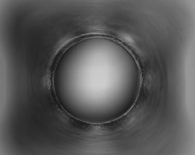 X0000094911360200712061040