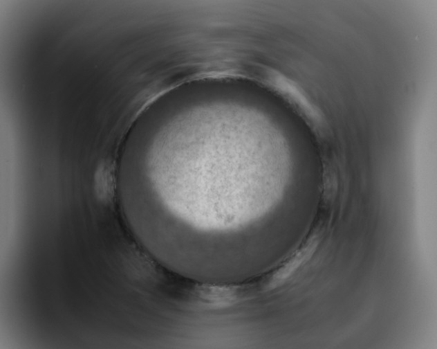 X0000094911361200712061040