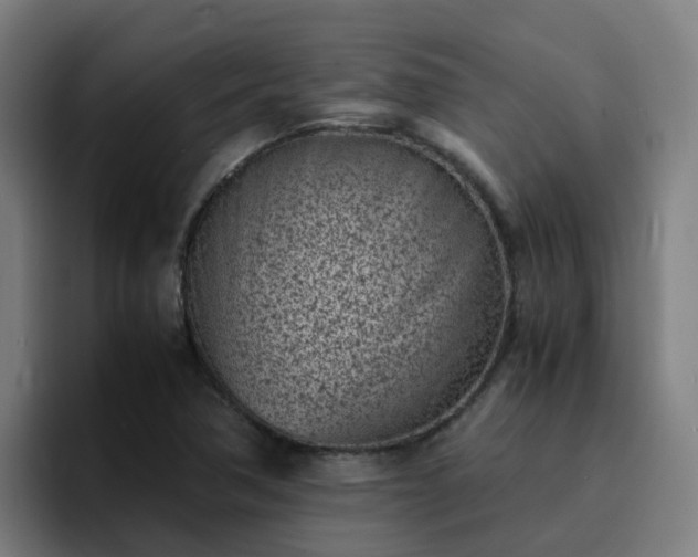 X0000094911362200712061040