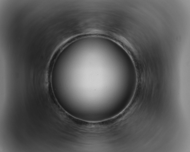 X0000094911364200712061040