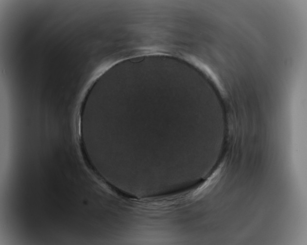 X0000094911365200712061040
