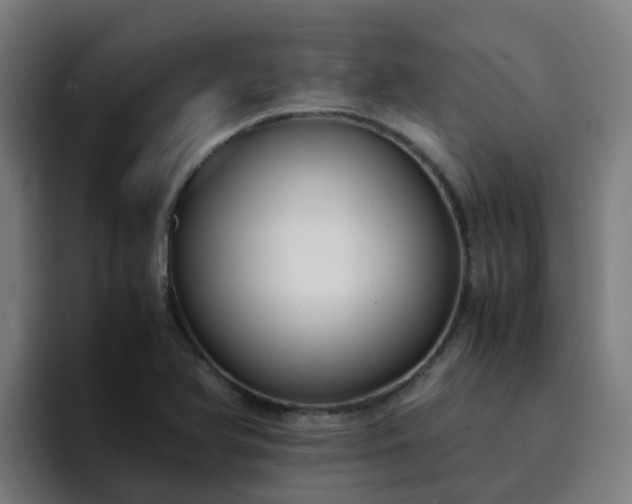 X0000094911366200712061040