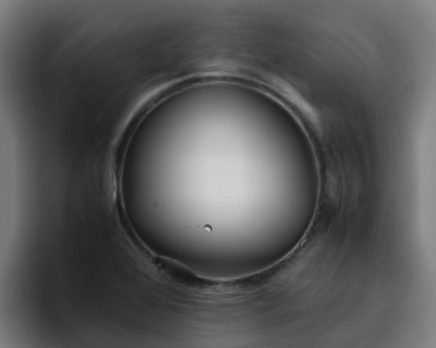 X0000094911368200712061040