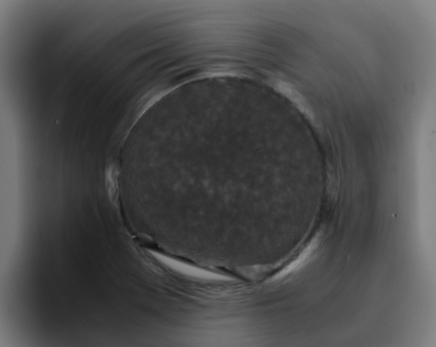 X0000094911369200712061040