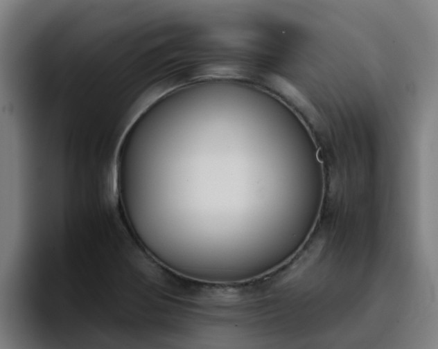 X0000094911370200712061040