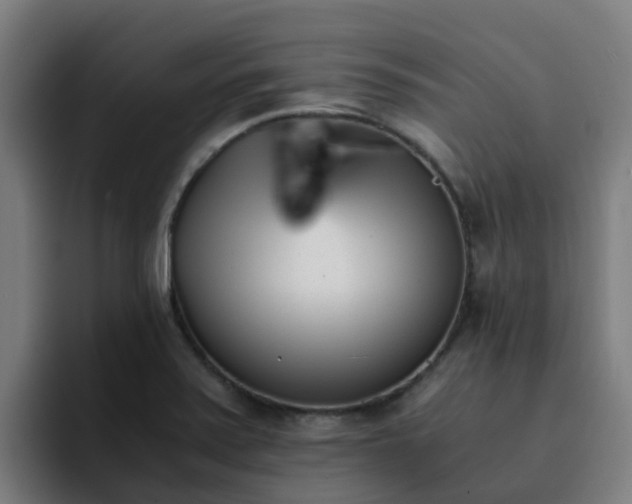 X0000094911371200712061040