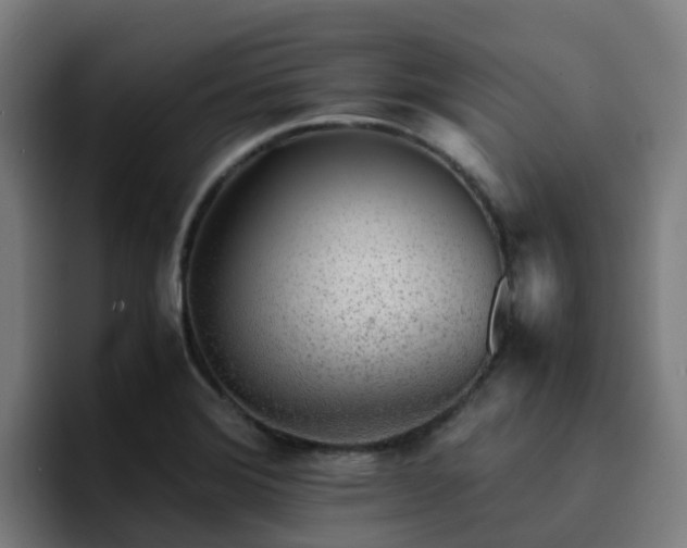 X0000094911372200712061040